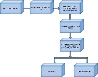 Design of a medical decision-supporting system for the identification of brain tumors using entropy-based thresholding and non-local texture features